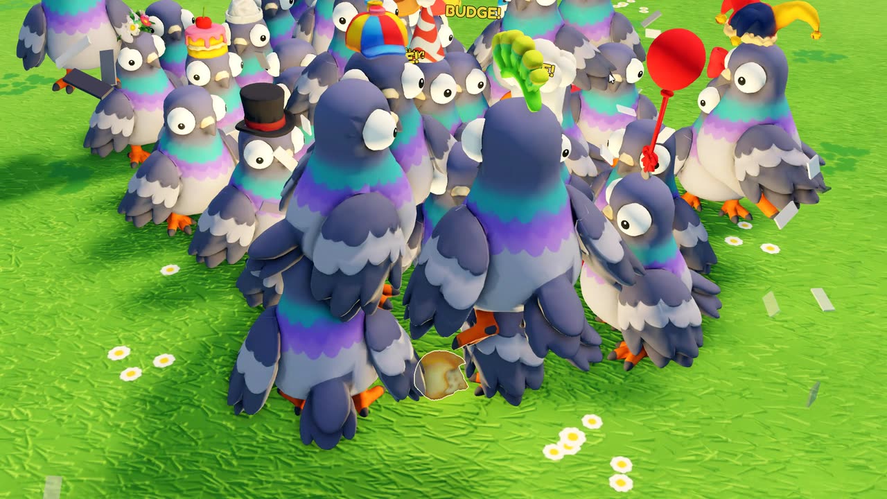 Pigeons piling onto the crumb on the lawn
